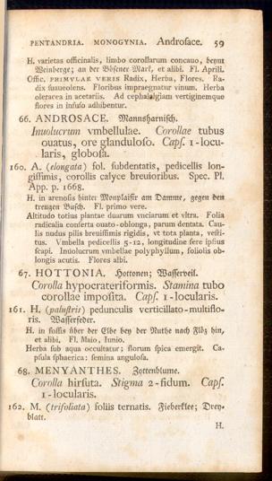 Pagina 