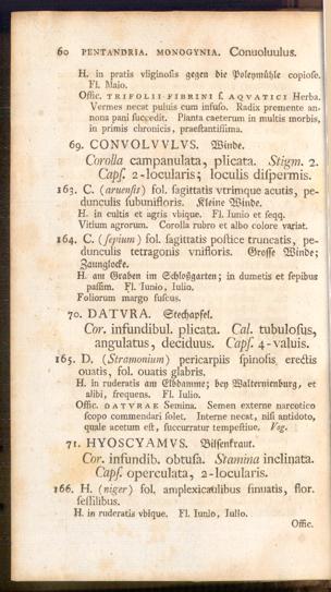 Pagina 