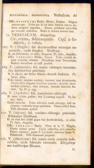 Pagina 