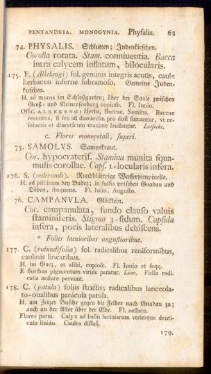 Pagina 
