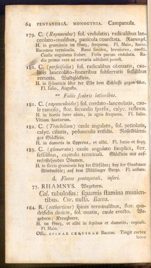 Pagina 