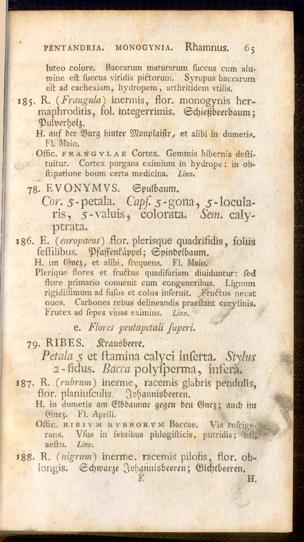 Pagina 