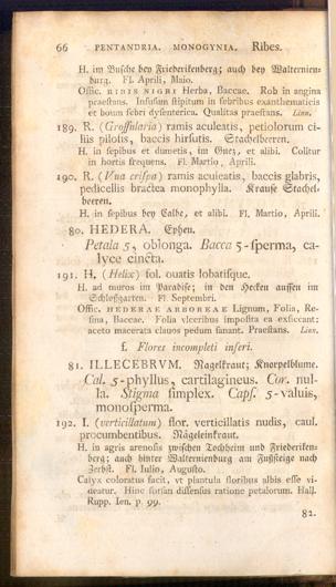Pagina 