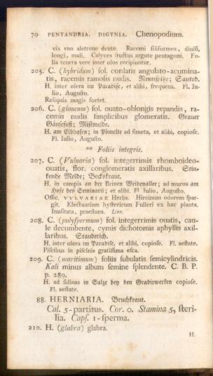 Seite 
