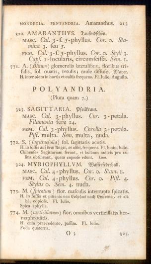Pagina 
