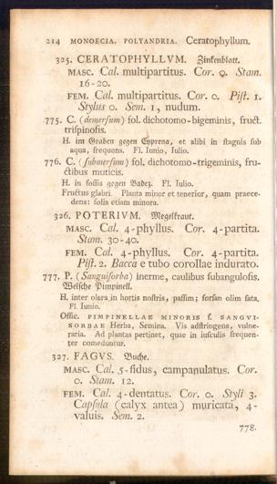 Pagina 