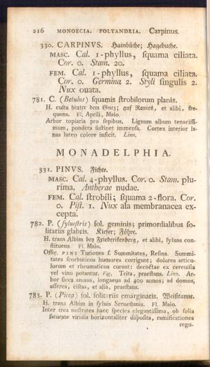Pagina 