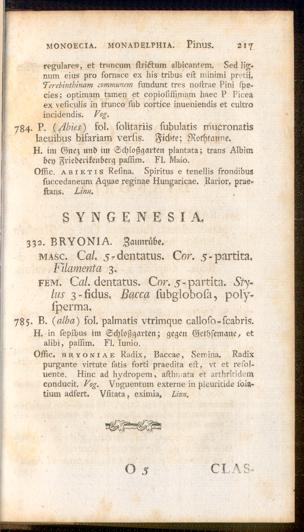 Pagina 