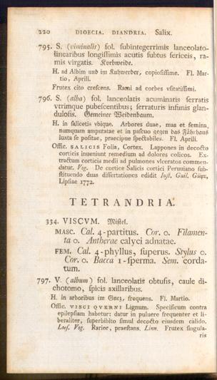 Pagina 