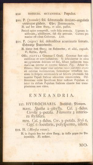 Pagina 