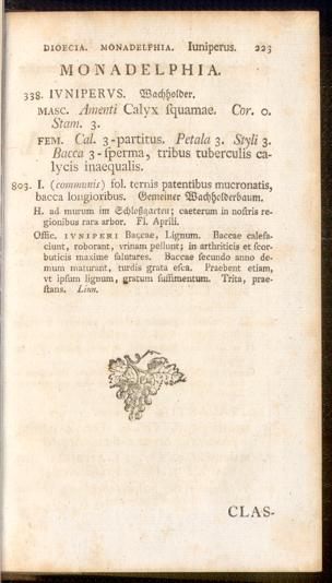 Pagina 