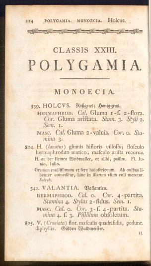 Pagina 