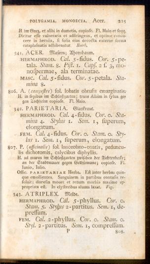 Pagina 