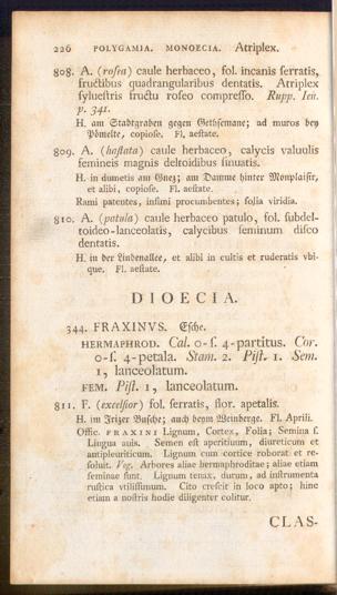 Pagina 