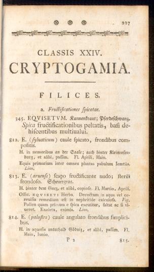Pagina 