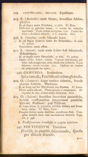 Pagina 