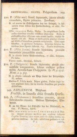 Pagina 