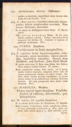Pagina 
