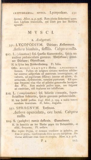 Pagina 