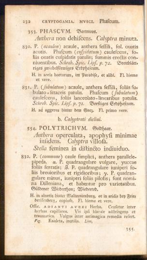 Pagina 