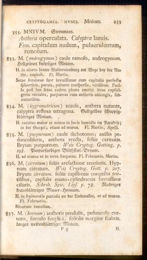 Pagina 