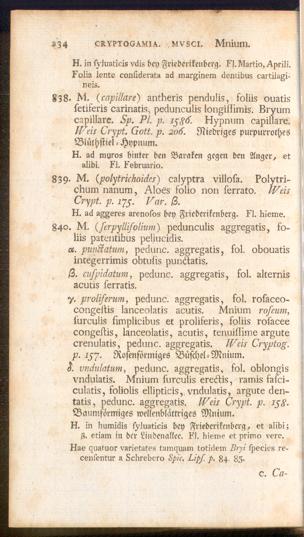 Pagina 