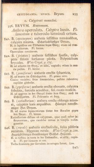 Pagina 