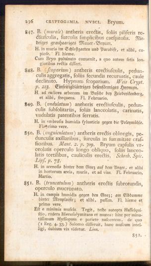 Pagina 