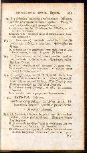 Pagina 