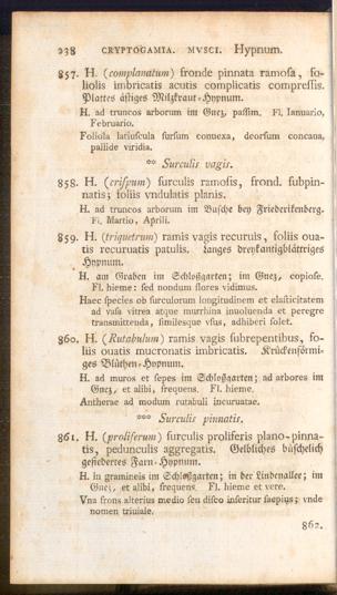 Pagina 