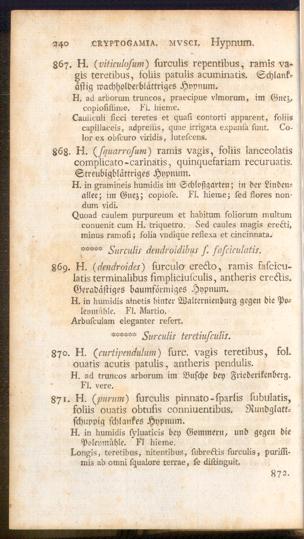 Pagina 