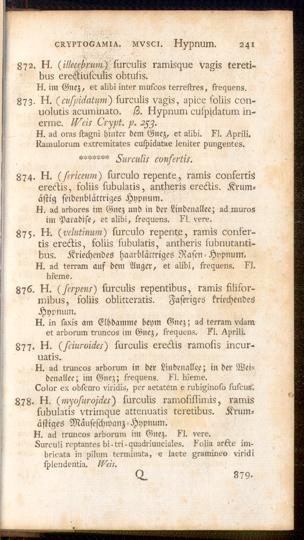 Pagina 