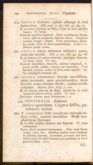 Pagina 