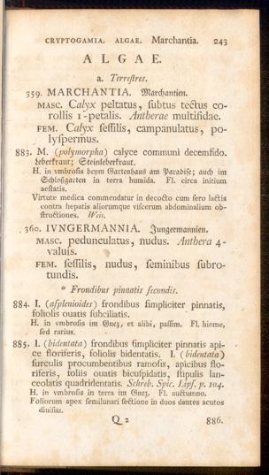 Pagina 