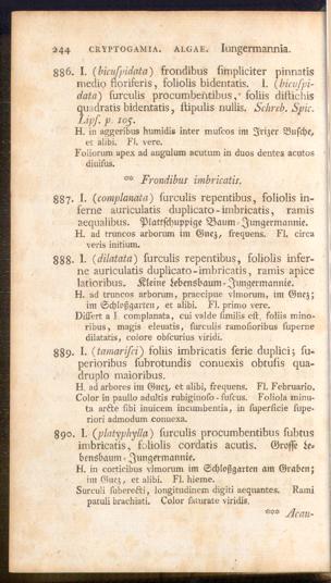 Pagina 