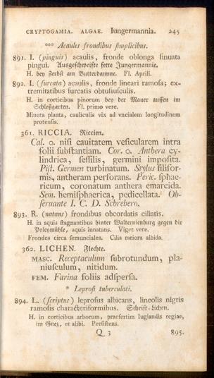 Pagina 
