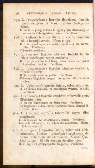 Pagina 