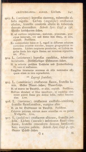 Pagina 