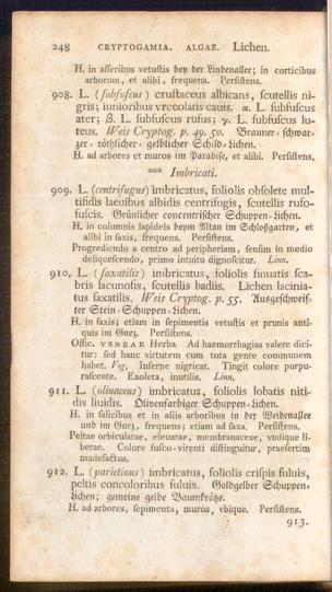 Pagina 