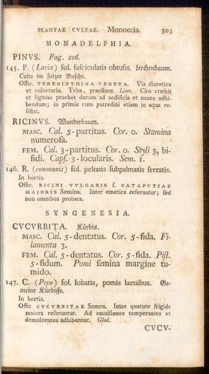 Pagina 