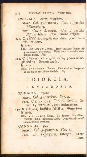 Pagina 