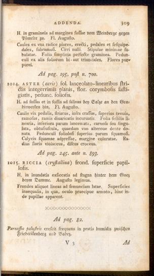 Pagina 