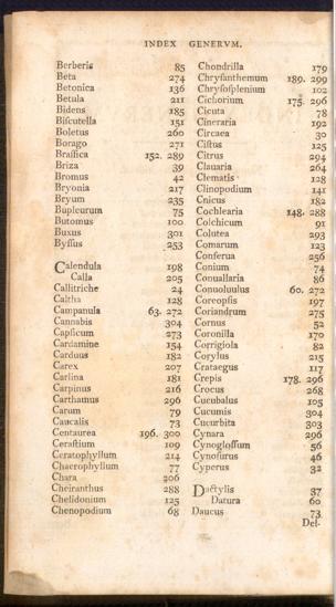 Pagina 