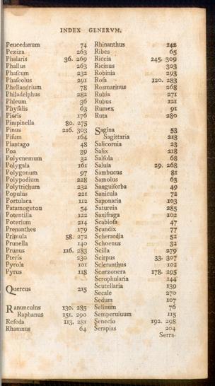 Pagina 