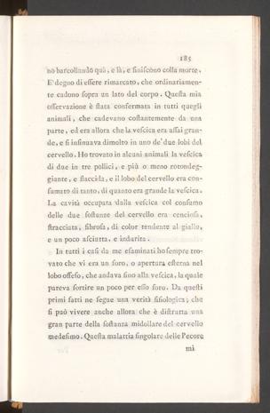 Seite 