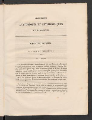 Pagina 