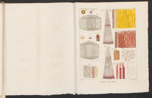 Pagina 