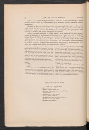 Seite 