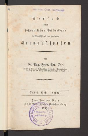 Seite 