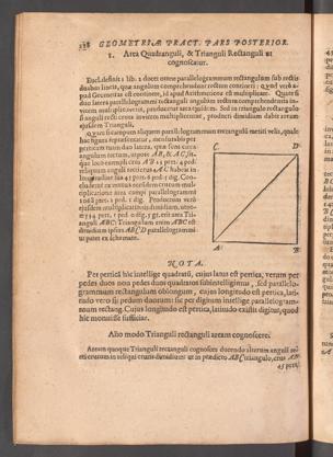Seite 